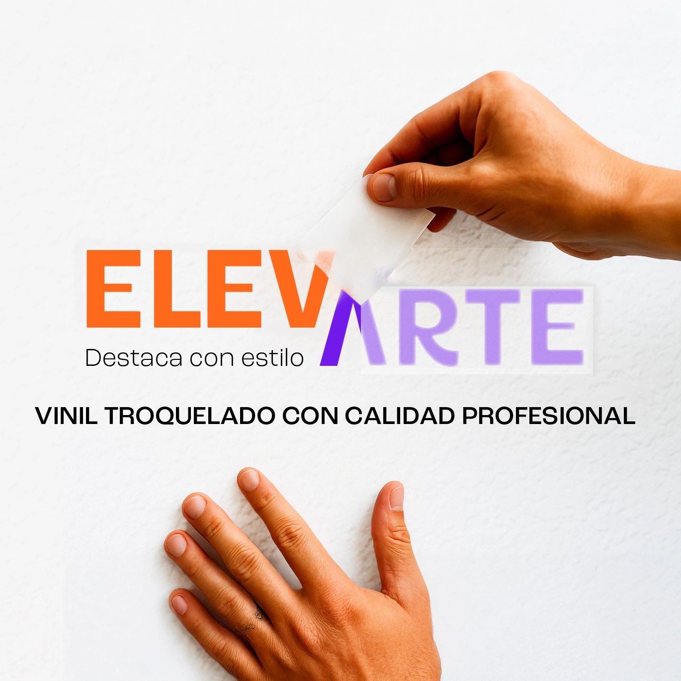 portada2